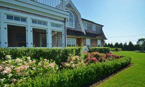 Striped Lawn Care